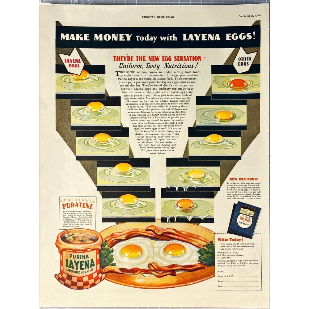 Purina Layena Poultry Chow "Make Mone today with Layena Eggs!" Vtg Print Ad '36